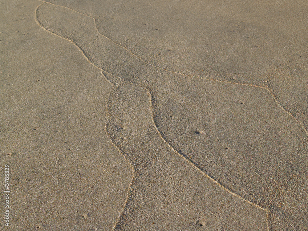 Sand Tracings on Beach, Low Tide