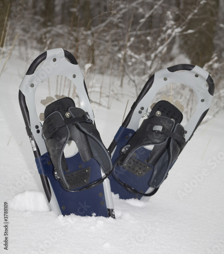 snow shoes in a winter forest