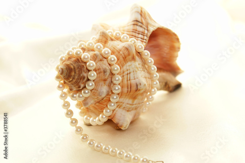 pearl wrapped shell