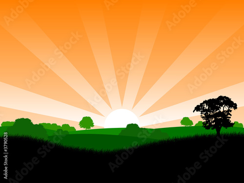 Summer sunrise landscape with trees and grass