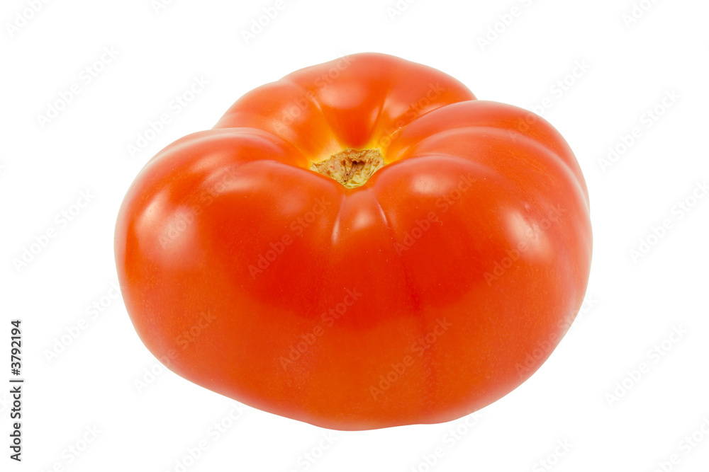 the single red tomato isolated with clipping path the single red tomato isolated with clipping path