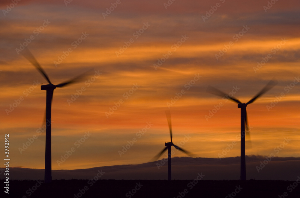 Obraz premium Wind turbines against an orange sunset.