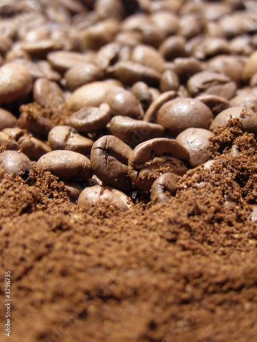 Coffee bean