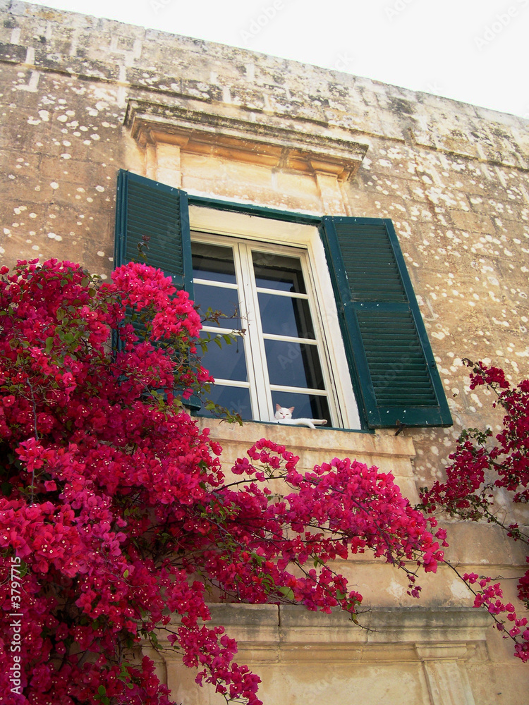 Limestone mediterranean house decorated by plants