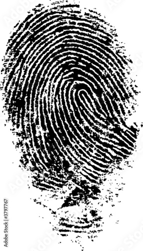 Detailed fingerprint