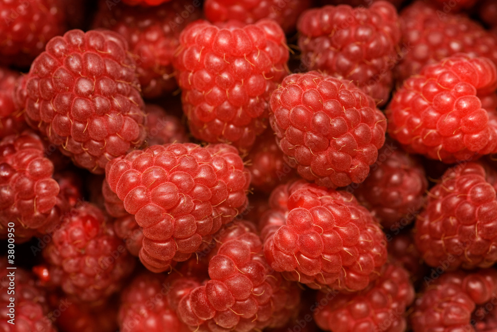 raspberries background raspberries background
