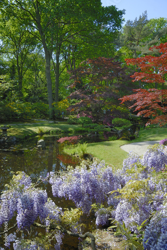 japanese garden © robepco