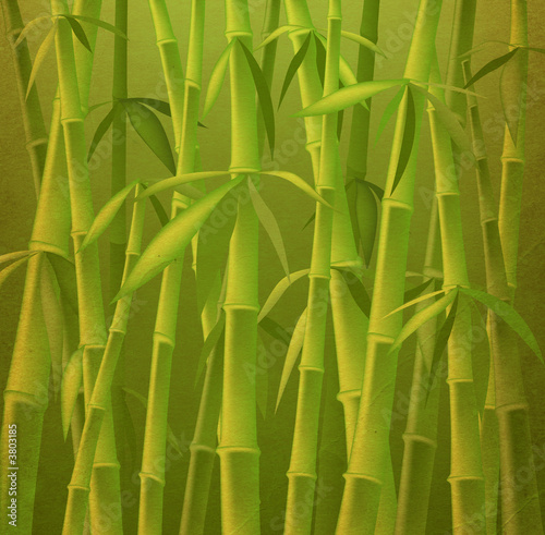 Fototapeta Naklejka Na Ścianę i Meble -  design of bamboo trees, illustration background