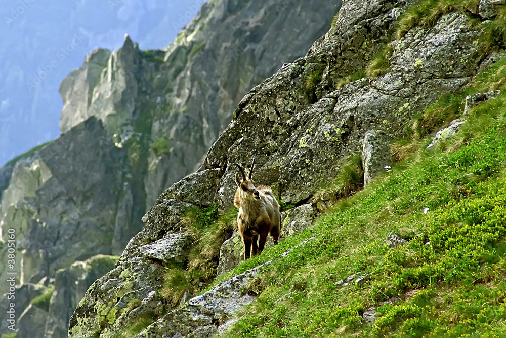 Tatras