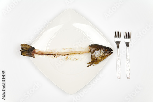 eaten fish with head and tail - symbol of misery
