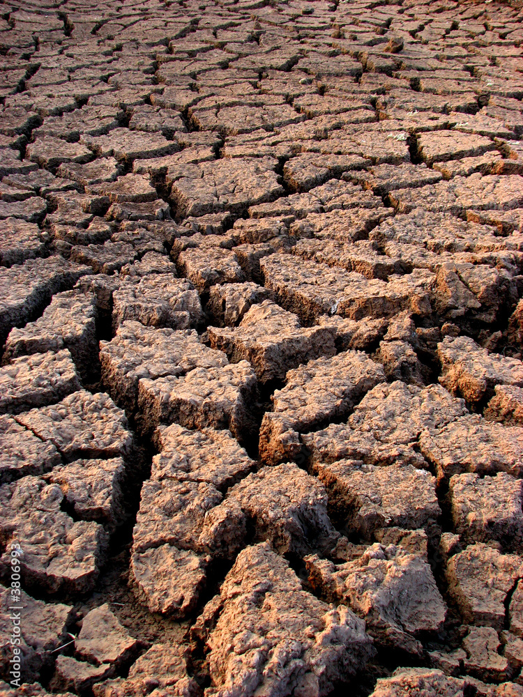 Drought