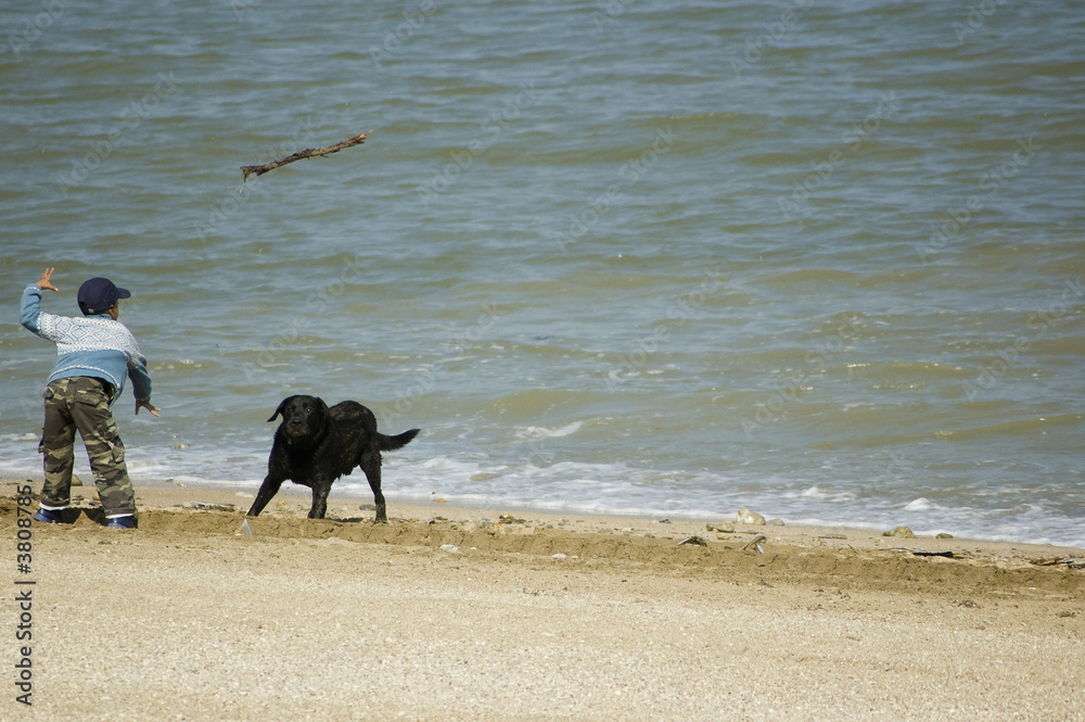 Enfant et chien plage