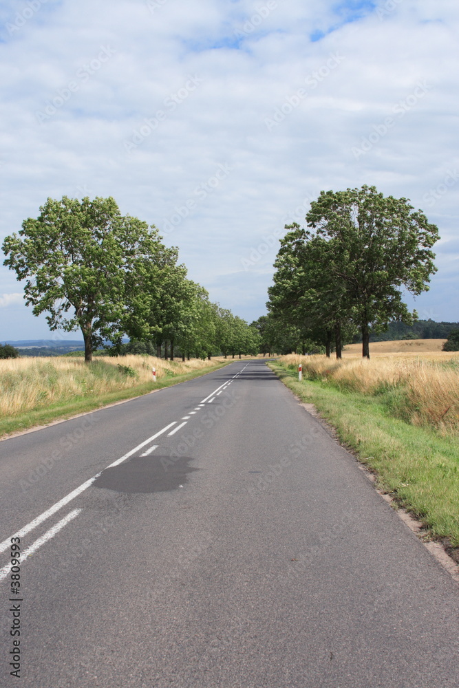 Fototapeta premium Route de campagne