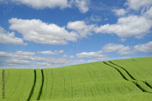 Green hill and  clouds