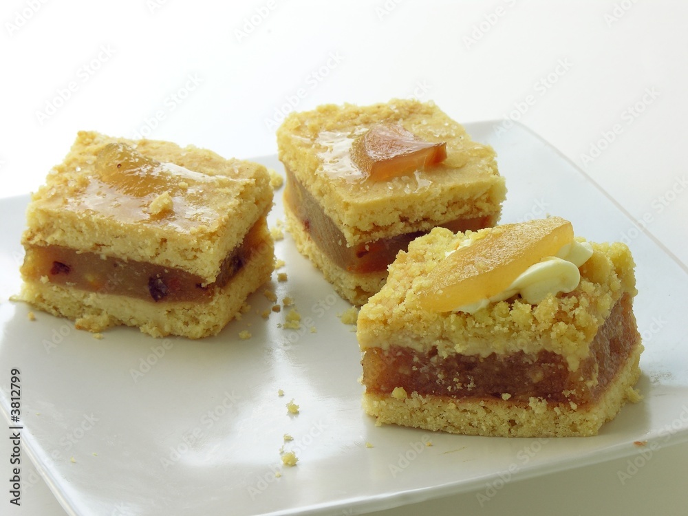 pieces of fruit cakes pieces of fruit cakes