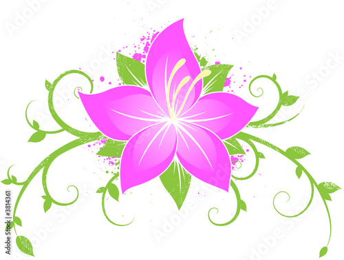 Floral grunge design
