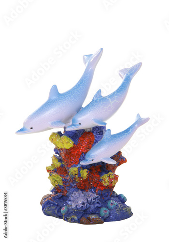 Three dolphins swimming near colorful coral over white