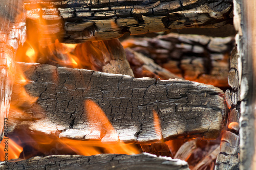 campfire full of burning wood for preparation of the shish kebab