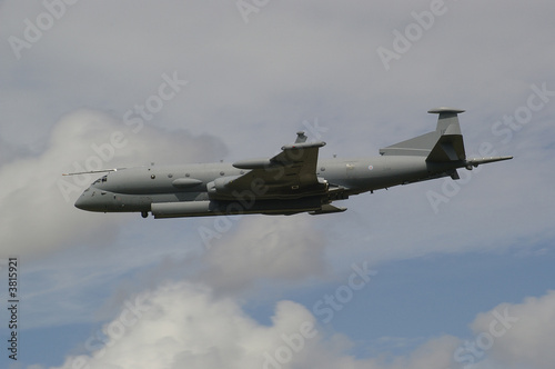 Carta da parati Nimrod mr4
