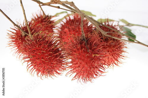 asia  fruit  name  rambutan  with  sweet  tasty  pulp