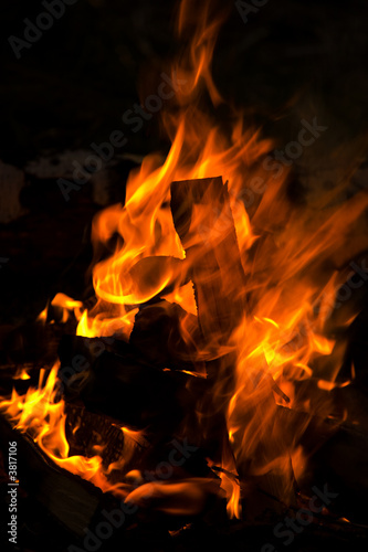 Flame in campfire. Picknic, June 2007