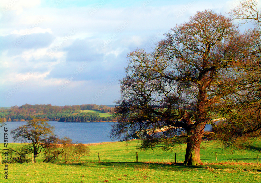 Sunny day at Blithfield reservoir Sunny day at Blithfield reservoir