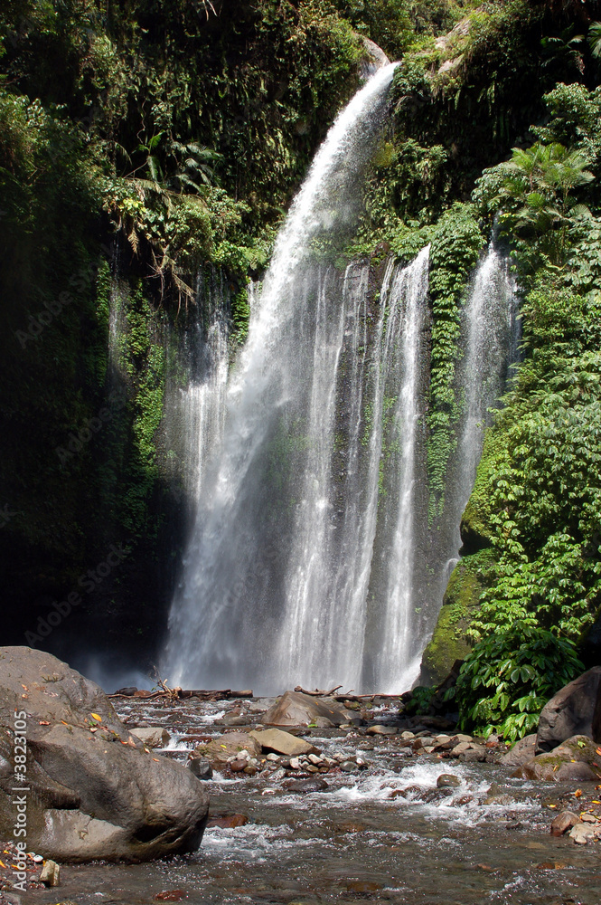 Fototapeta premium chute d'eau ; Senaru; Lombok