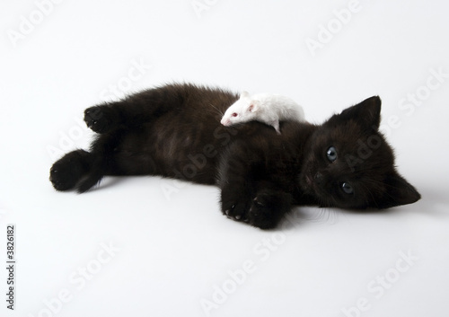 Black cat & White mouse © Sebastian Duda