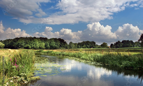 Gorgeous stream in Holland