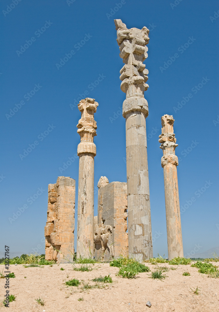Columns of ancient city of Persepolis