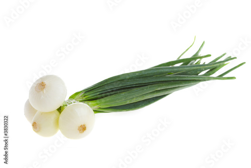 Photo of a spring onions on a white background