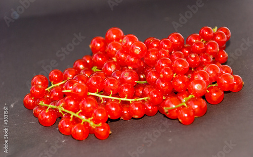 Red Currant-isolated on Black photo