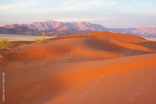 Dunes rouges dans le D  sert du Namib - Namibie