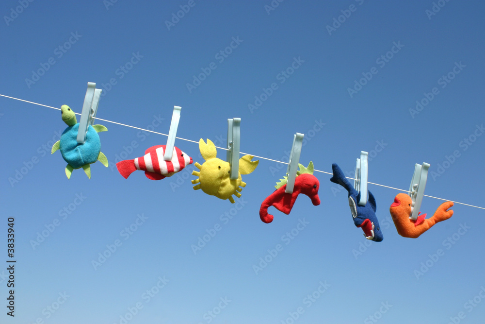 Fototapeta premium Sea animal toys hanging on the laundry wire and drying