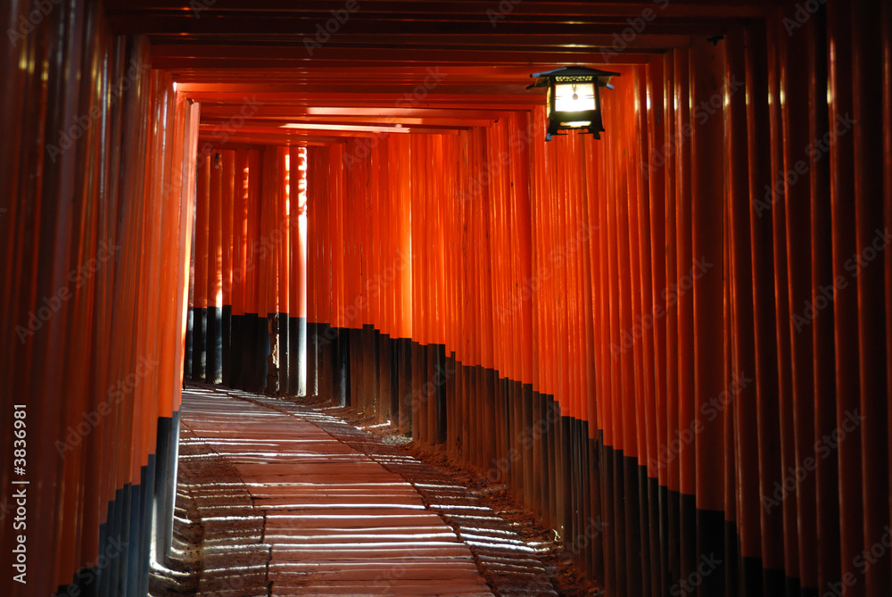 Fototapeta premium Torii gates at Fushimi Inari Shrine 2