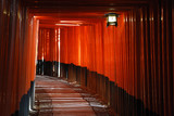 Torii gates at Fushimi Inari Shrine 2