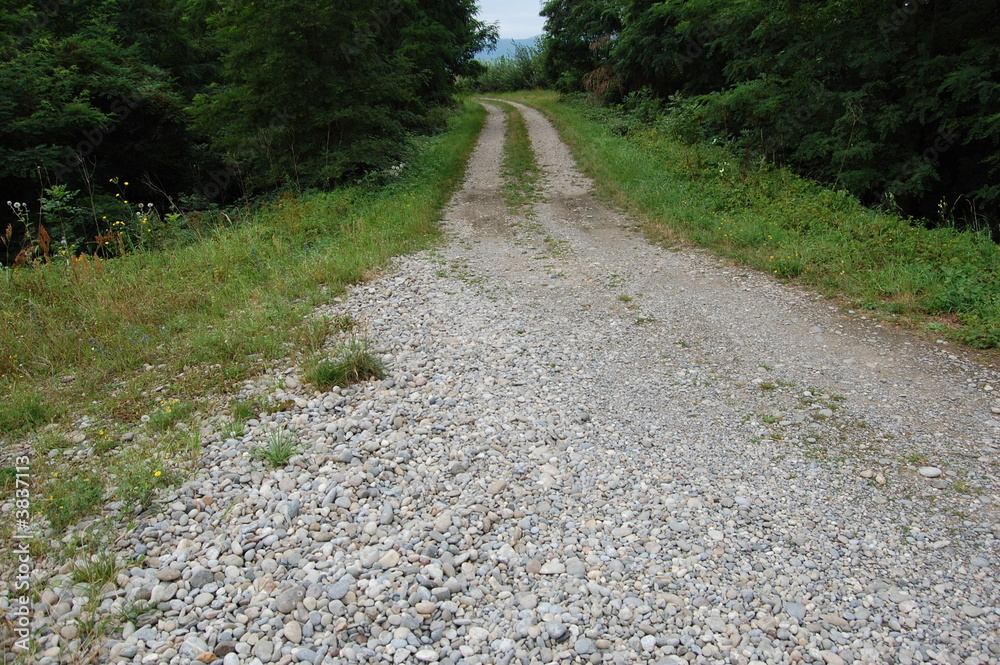 Obraz premium einsamer Weg