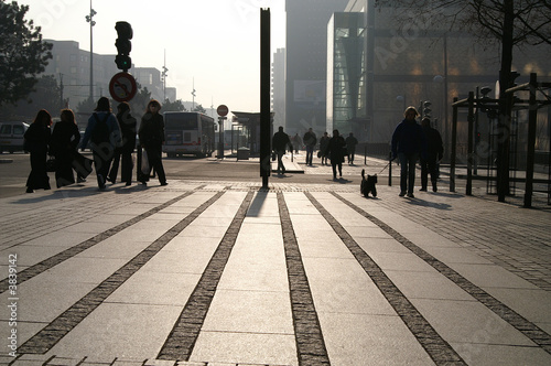 lyon photo