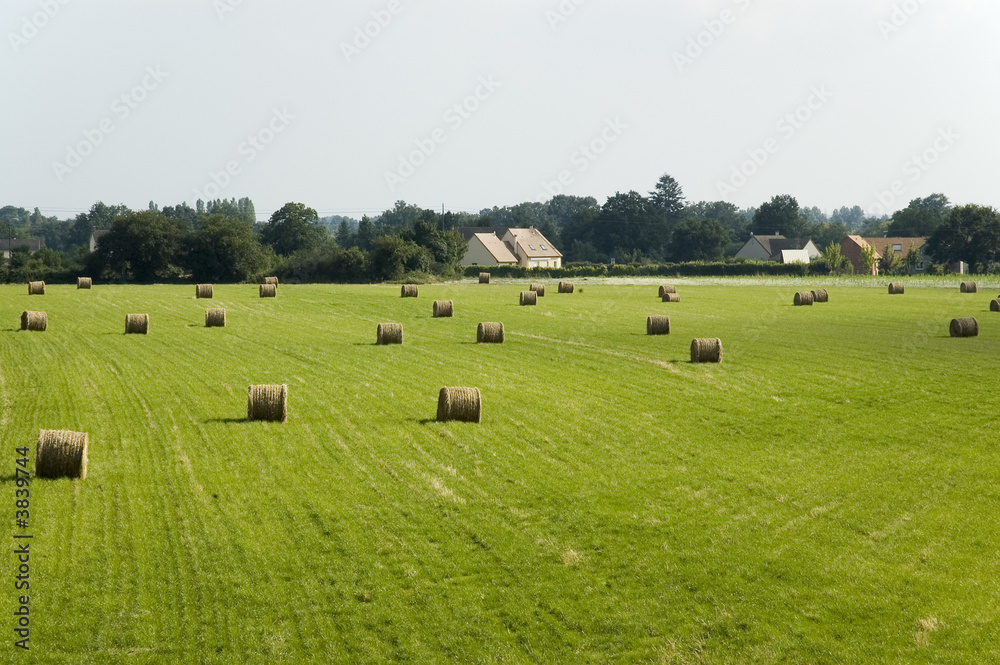 Paysage rural Paysage rural