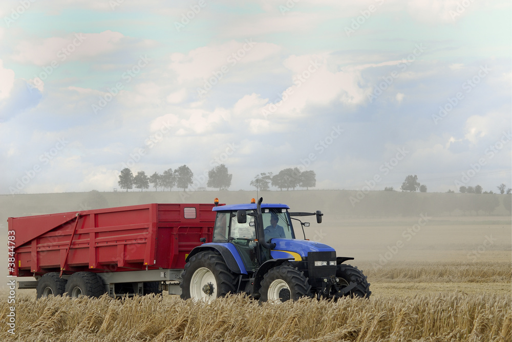 Obraz premium moisson du blé