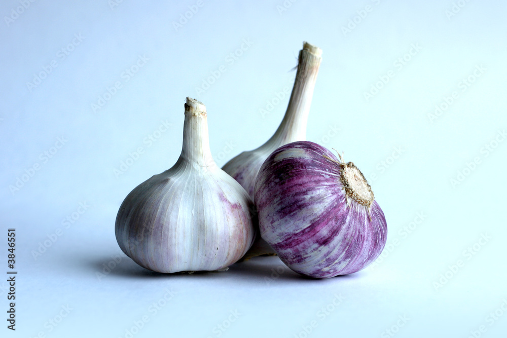 Fototapeta premium Garlic on the blue background