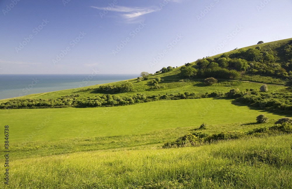 Green field with sea.