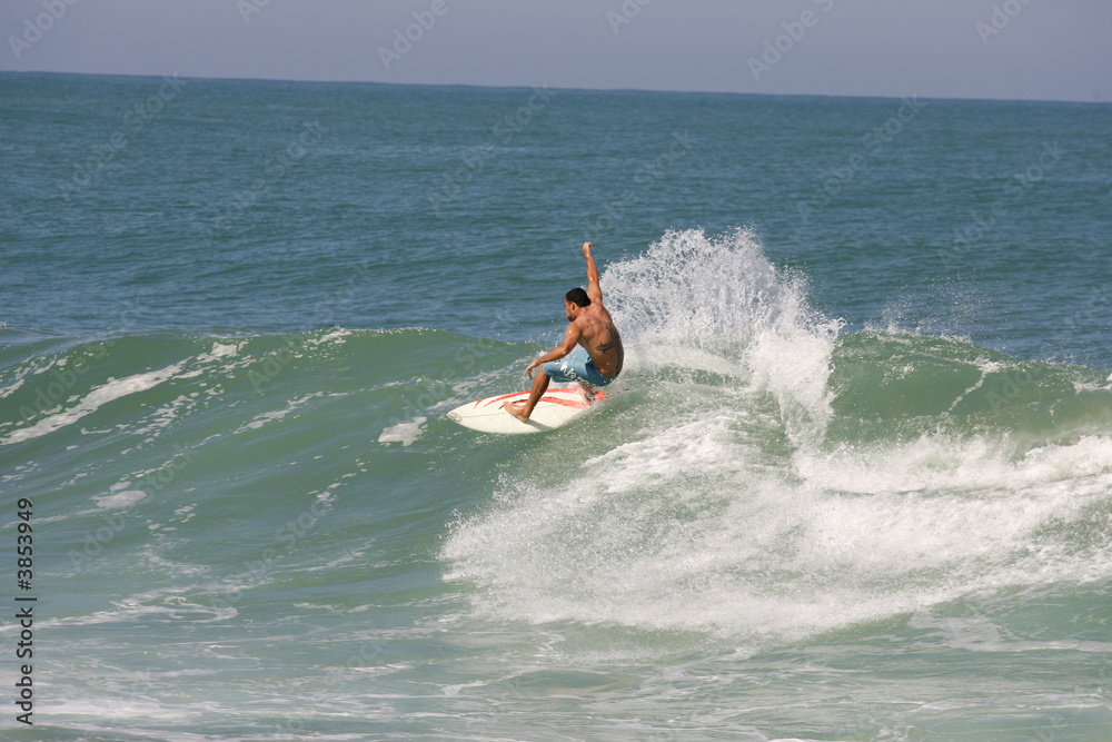 surfing surfing