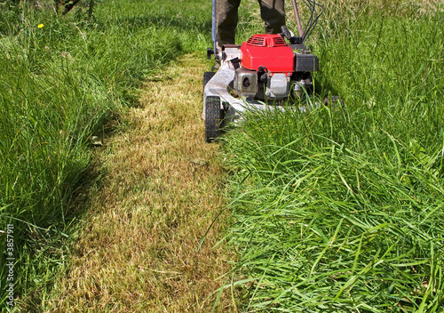 Bild auf Leinwand mowing the lawn