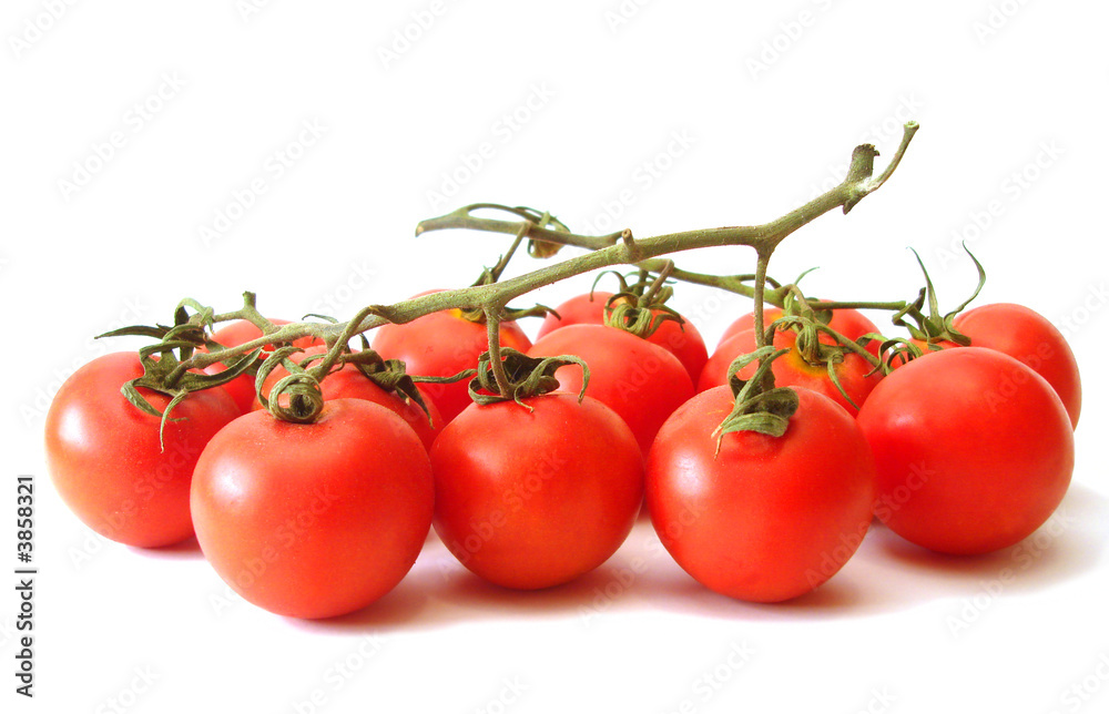 many tomatos over white background, isolated