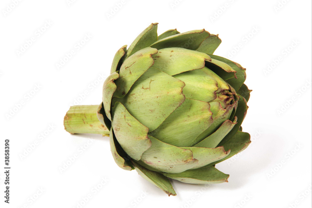 Fototapeta premium artichaut - un bouquet de santé
