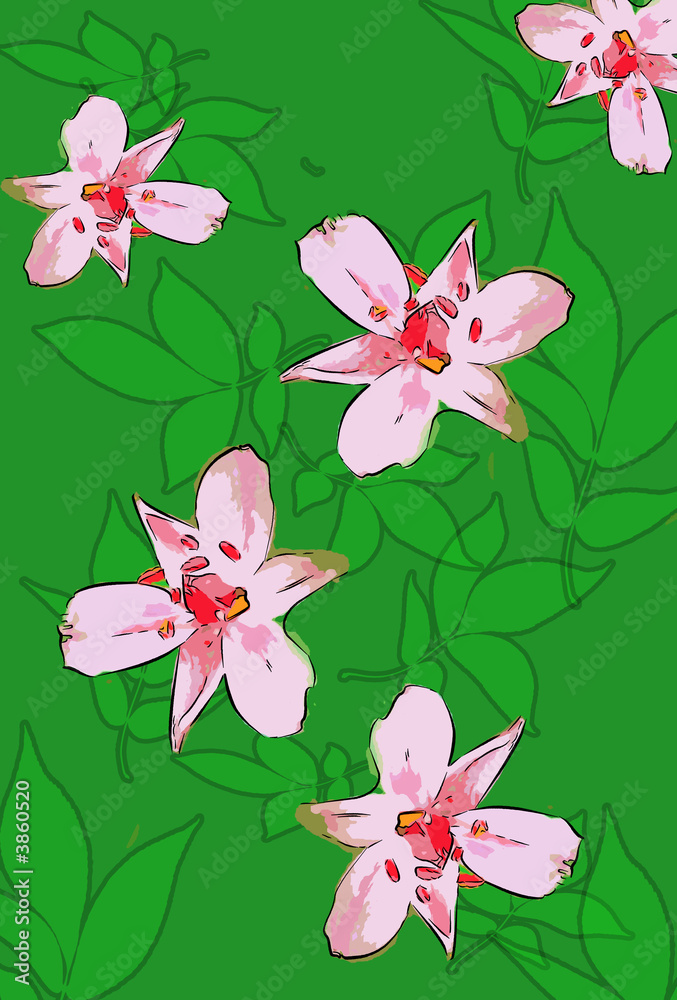 Fototapeta premium pink flowers