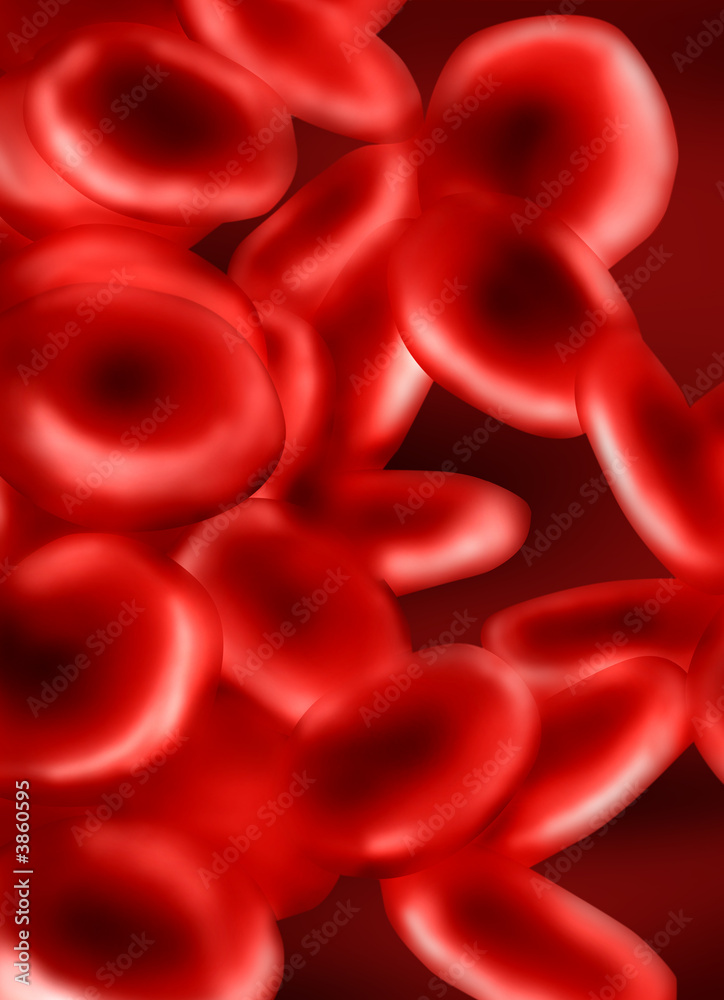 Red Blood Cells Illustration Red Blood Cells Illustration