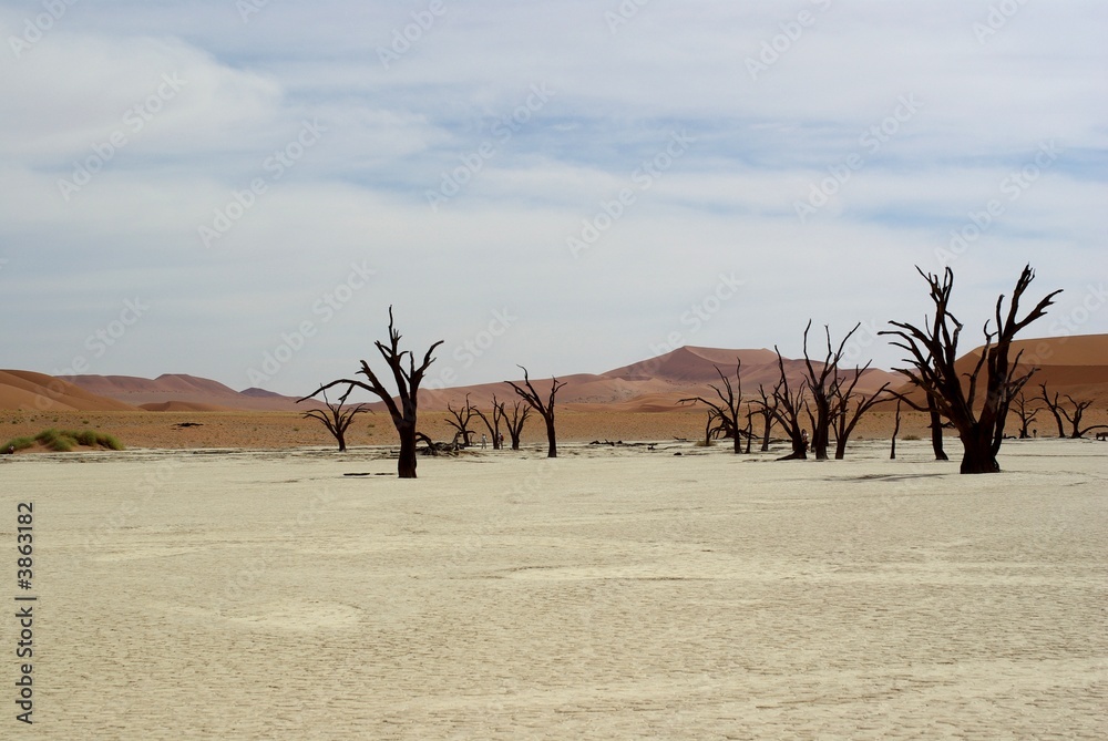 Arbres morts - Namibie - Deadvlei
