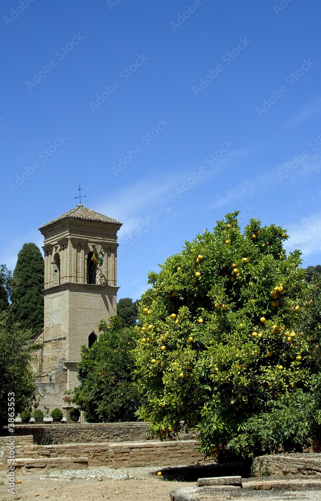 Alhambra Convent and Orange Tree